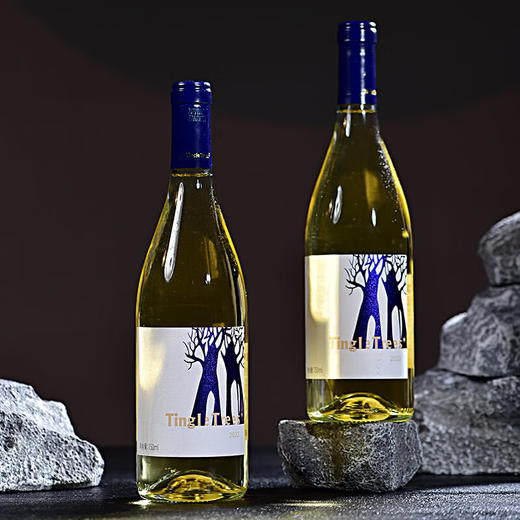 丁戈树白诗南干白葡萄酒750ml 商品图4