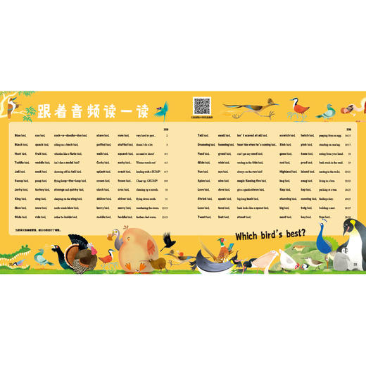100只萌宠大发现：鸟！鸟！鸟！ 百班千人70期一年级1年级名师推荐课外书必读正版授权（按需加入购物车自选） 商品图3