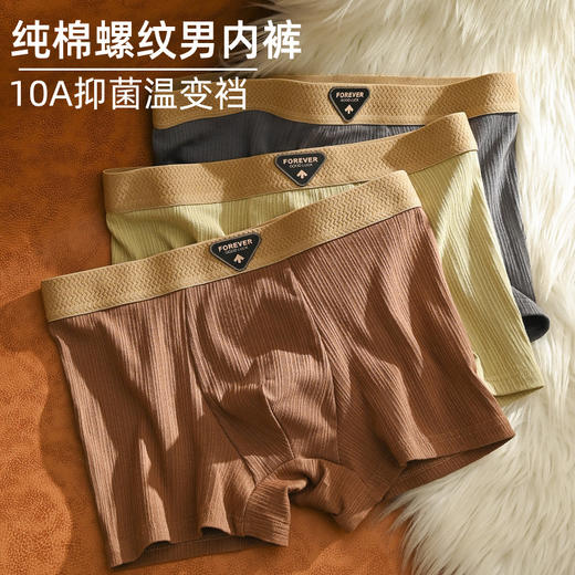 男士内裤纯棉男款平角男生抑菌透气舒适潮流纯色中腰四角短裤螺纹 商品图1