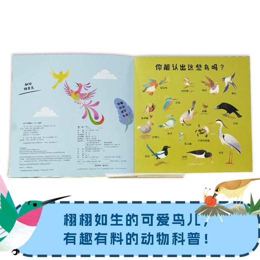 100只萌宠大发现：鸟！鸟！鸟！ 百班千人70期一年级1年级名师推荐课外书必读正版授权（按需加入购物车自选） 商品图2