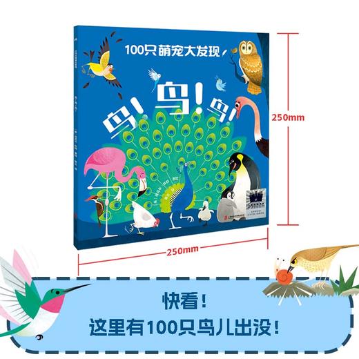 100只萌宠大发现：鸟！鸟！鸟！ 百班千人70期一年级1年级名师推荐课外书必读正版授权（按需加入购物车自选） 商品图1