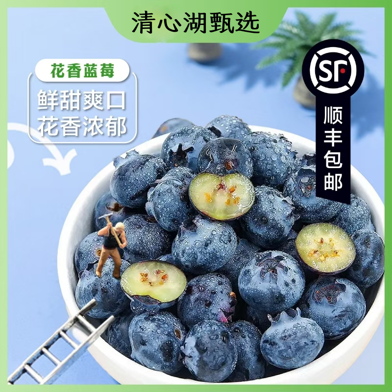 【顺丰包邮】花香蓝莓 颗颗饱满 花香浓郁 脆嫩清甜 一口爆浆 富含花青素 九甜一酸超好吃 护眼好搭档 现采现摘 产地新鲜直发 顺丰空运直达