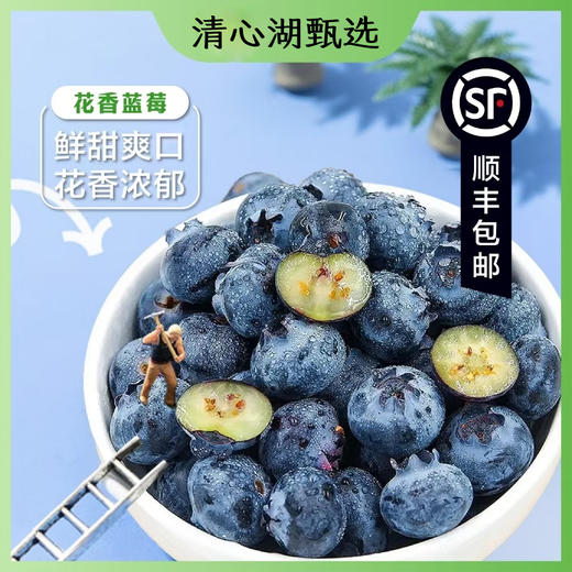 【顺丰包邮】花香蓝莓 颗颗饱满 花香浓郁 脆嫩清甜 一口爆浆 富含花青素 九甜一酸超好吃 护眼好搭档 现采现摘 产地新鲜直发 顺丰空运直达 商品图0