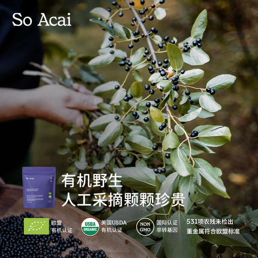 保税直发 So Acai 有机冻干马基莓粉 3gx20袋/盒x3 商品图4