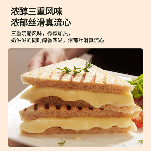 【VIP频道】奶酪博士三重风味奶酪片 烘焙干酪芝士儿童早餐自制 商品图5