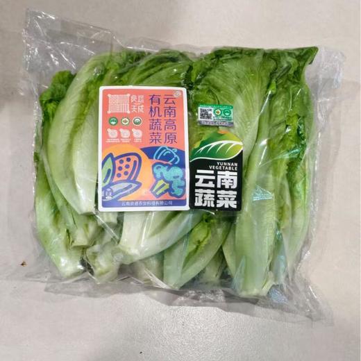 良道有机意大利生菜 300g/份 商品图0