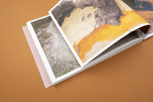 Adam Thorman: Creatures Found / 亚当·索尔曼：被发现的生物 商品图1