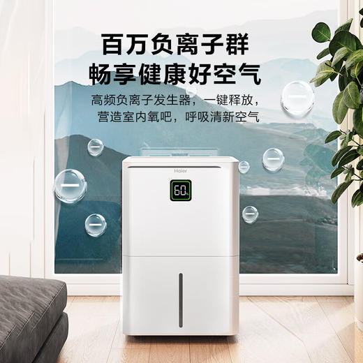 海尔（Haier）除湿机家用地下室带水管排水室内低音可净化干衣压缩机式智能app操控大功率吸湿器CF40-JYAU1 商品图5