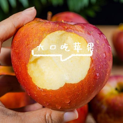 云南昭通丑苹果 口感爽脆 核小肉厚 清甜多汁 果肉细腻无渣 商品图3
