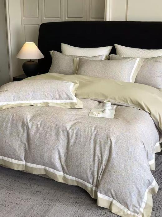 【春上新】10楼 恐龙 初弦 澳棉超柔刺绣磨毛四件套 200*230cm   吊牌价2698   活动价659元 商品图2