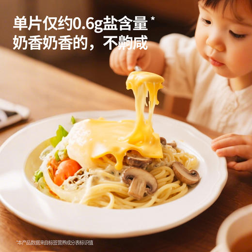 【VIP频道】奶酪博士加厚奶酪51%干酪添加量 儿童烘焙早餐 商品图5