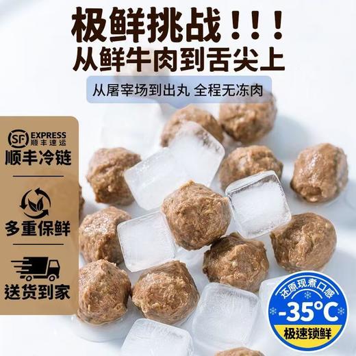 【鲜打黄牛肉】乐有道 汕头牛肉丸200g/袋*1 商品图2