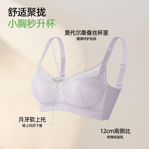 【商场同款】熳洁儿 小胸聚拢文胸性感蕾丝织带梦中舞会系列莫代尔蚕丝杯25701506 商品图2