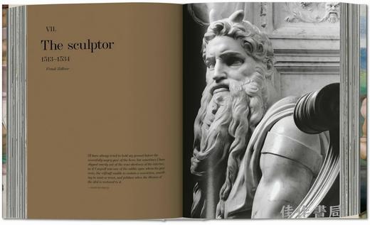 Michelangelo.The Complete Works.Paintings  Sculptures  Architecture/米开朗基罗.全部作品—绘画、雕塑与建筑/Taschen XL系列 商品图3