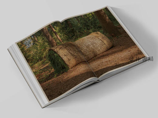 Diana Scherer: Interwoven - Exercises in Root System Domestication / 黛安娜·谢勒：交织——根系驯化练习 商品图3