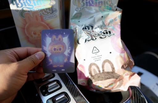 升级版 专用指定盲盒玩具 清仓（下单认可本次交易不涉及品牌，不涉及赔付） 商品图4