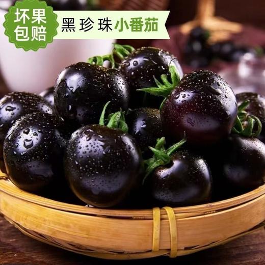 寿光 紫龙樊番茄 商品图0