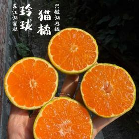 玲珑猫橘|山人优选【东江湖清江蜜桔，只做湖边橘，现摘现发，不洗果无保鲜，顺丰发货】