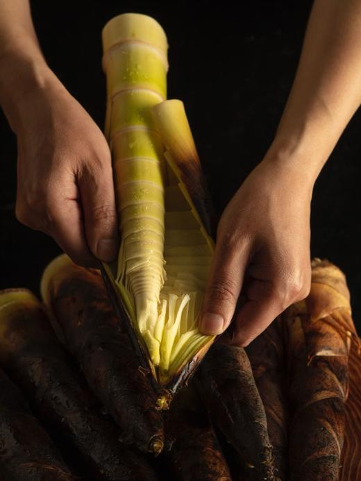 熊猫外卖到啦！熊猫笋上市啦，2斤装 商品图4