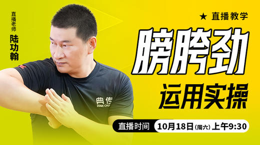 膀胯劲运用实操——直播教学（陆师亲授） 商品图0
