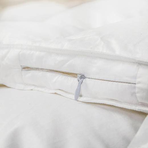 【云粉节】10楼 安睡宝 西伯利亚进口95%白鹅绒抗菌立体冬被 吊牌价12999-19999元 活动价3399-4299元 商品图2