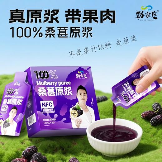 劲家庄100%桑葚原浆600ML/盒（30ML*20） 商品图2
