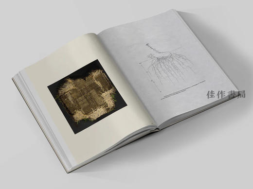 Diana Scherer: Interwoven - Exercises in Root System Domestication / 黛安娜·谢勒：交织——根系驯化练习 商品图2