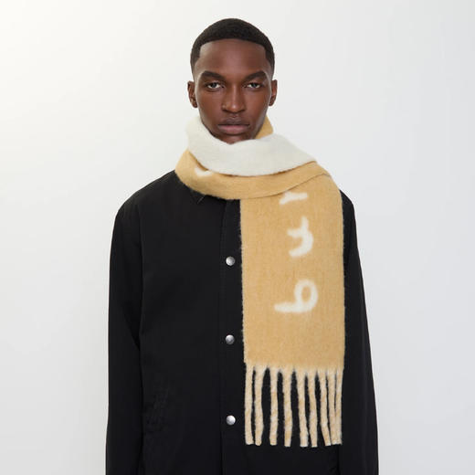 BURBERRY 巴宝莉 中性双面两用徽标装饰羊驼毛混纺围巾 驼色 8114082 A2021 商品图7