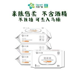 兴龙广缘牌80片厕用湿巾