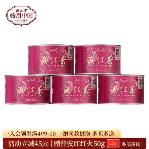 正山堂 滇红茶 骏眉中国产区茶系列 特级云南凤庆红茶叶浓香型罐装50g 商品图0