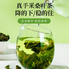 北京同仁堂 朕皇  桑叶 150g 商品缩略图3