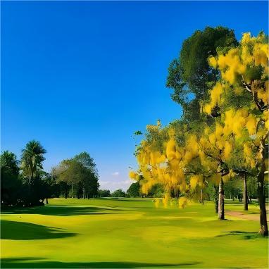 曼谷·京凯维高尔夫俱乐部  Krung Kavee Golf Club | 曼谷高尔夫球场 | 泰国高尔夫球场俱乐部 商品图7