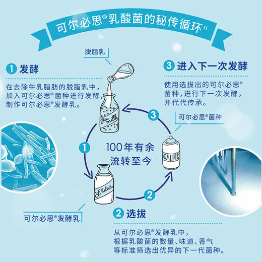【1212神价】可尔必思0脂肪原味280ml*5瓶装(限2026年1月） 商品图3