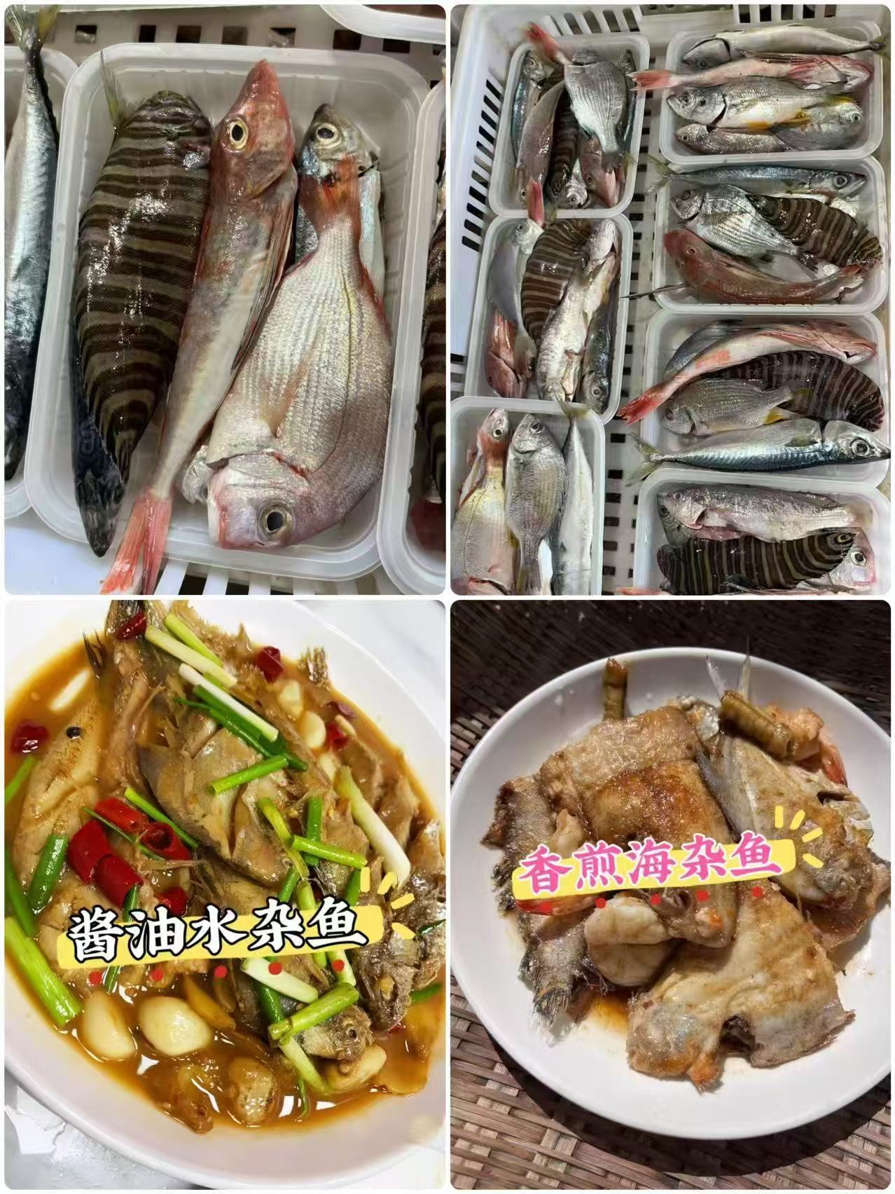 & 鲜货🐟海杂鱼，干煎、杂鱼煲、酱油水煮都非常鲜香 ，好吃不贵！【活冻】