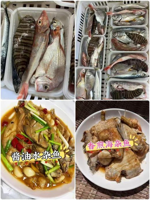 & 鲜货🐟海杂鱼，干煎、杂鱼煲、酱油水煮都非常鲜香 ，好吃不贵！【活冻】 商品图0