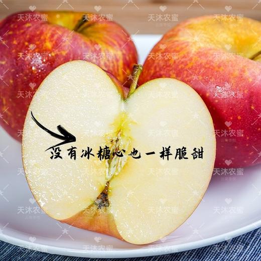 云南昭通丑苹果 口感爽脆 核小肉厚 清甜多汁 果肉细腻无渣 商品图6