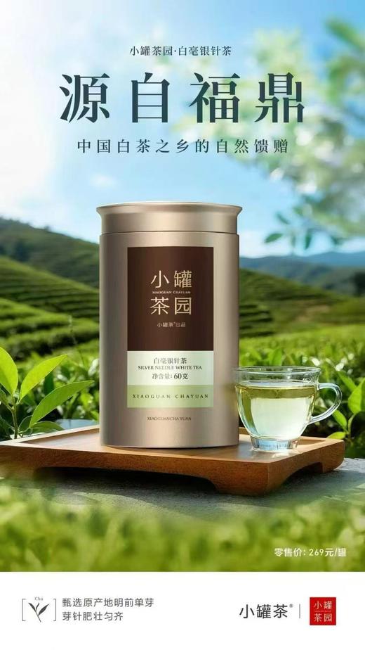 小罐茶园金标系列特级 白毫银针茶升级版60g 商品图10