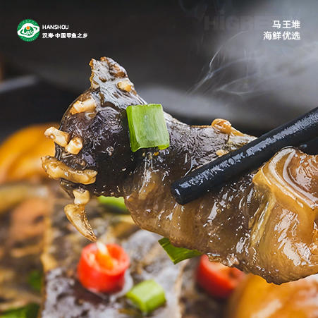 汉寿甲鱼【HXDY】 商品图0