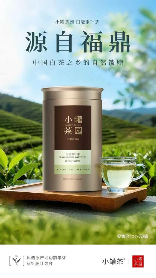 小罐茶园金标系列特级 白毫银针茶升级版60g 商品图8