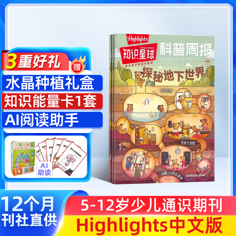 知识星球（Highlights中文版）杂志  半年/全年订阅 5-12岁科普