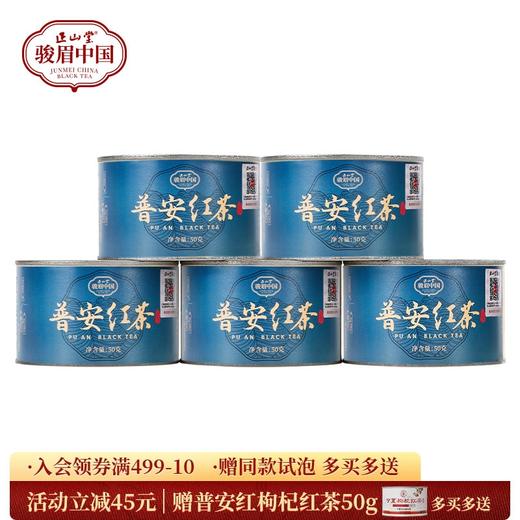 正山堂 普安红 骏眉中国产区茶系列 贵州大叶种特级红茶叶罐装50g 商品图0