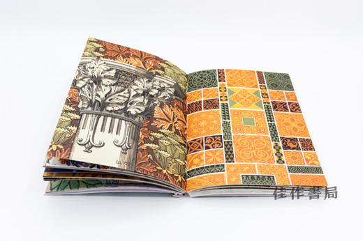 Formes et couleurs: Les arts decoratifs dans le fonds de livres anciens de l'isdaT / 形色之美：塔布高等艺术与设计学 商品图3