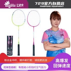 [新品·2支装 送球] 友谊729 7126铁合金分体羽毛球拍 耐打耐磨专业羽毛球拍大童成人室内外通用套装