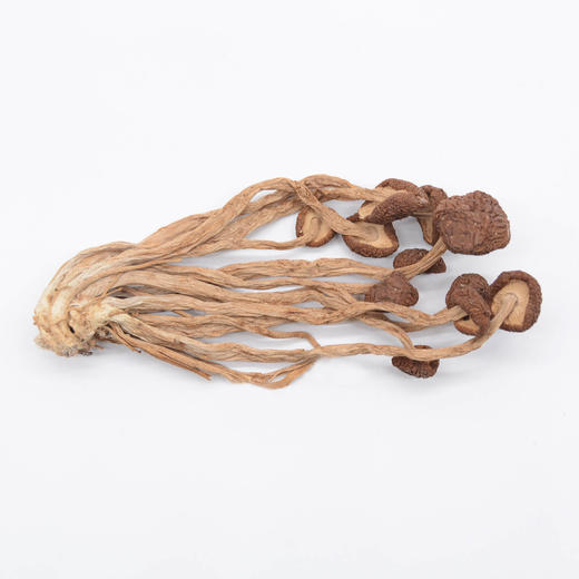 四川特产蜀道茶树菇250g罐装 商品图2