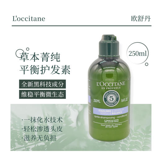 【10.18好物神价】欧舒丹5合1草本菁纯护发素护发乳250ml 修护丰盈/菁纯平衡 商品图4