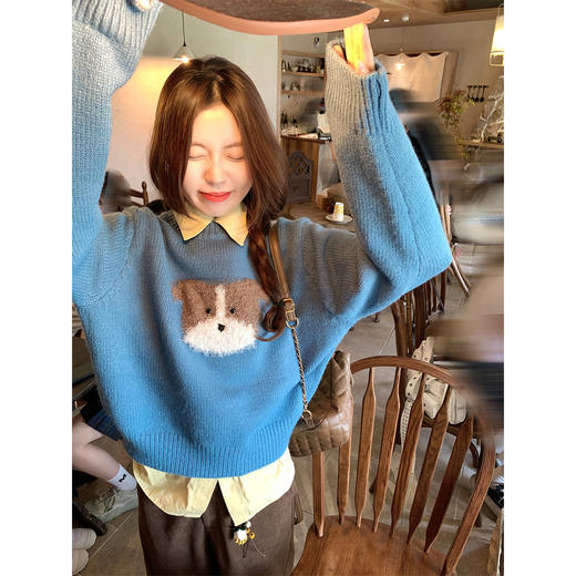 <曾小咸推荐>现货秒杀 ！微信超特价！软糯植绒狗狗毛衣 日常169.99 立减80 秒杀89.99！！ 商品图1