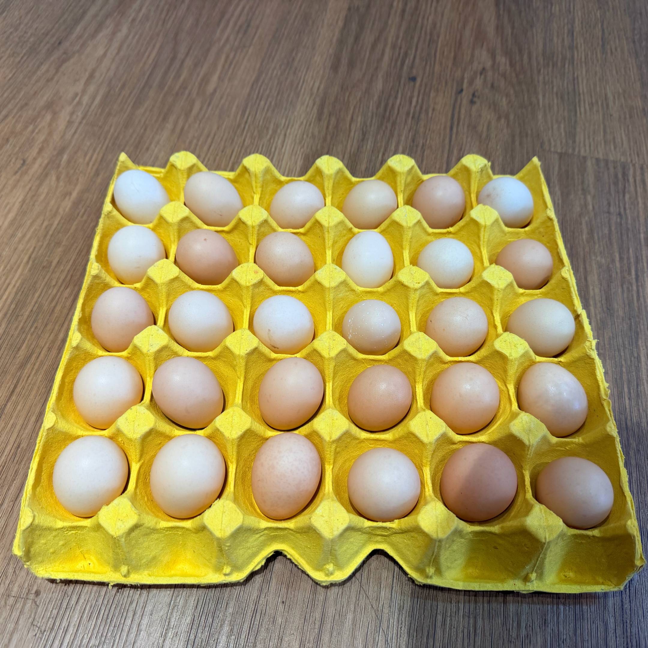 【上门自提】新联|宝贝蛋|30枚