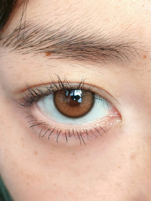 ALLECON贝果棕（佩戴直径：14.2mm） 商品图5