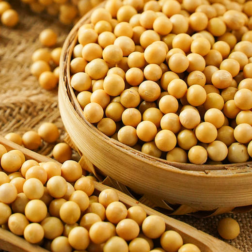溢田有机黄豆900g 商品图3