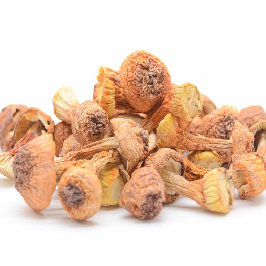 四川特产蜀道山珍姬松茸250g罐装 商品图2